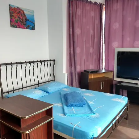 Guest house Casa Tin Ultracentral 3*
